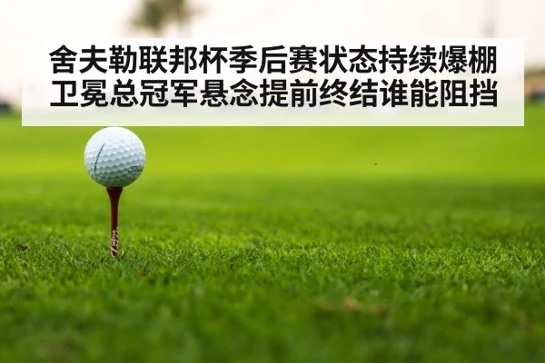 golf tournament leaderboard