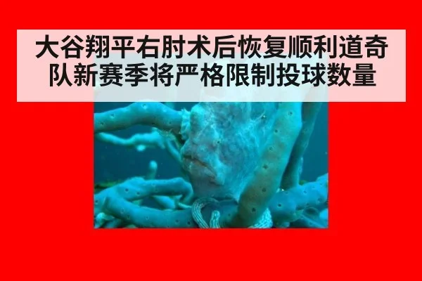 大谷翔平右肘术后恢复顺利道奇队新赛季将严格限制投球数量
